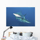 Oceanic Blacktip Sharks Horizontal Wall Decal