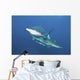 Oceanic Blacktip Sharks Horizontal Wall Decal