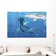 Oceanic Blacktip Sharks Waiting Horizontal Wall Decal