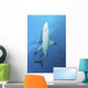 Oceanic Blacktip Shark Near Surface Wall Decal