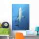 Oceanic Blacktip Shark Near Surface Wall Decal