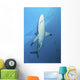 Oceanic Blacktip Shark Near Surface Wall Decal