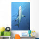 Oceanic Blacktip Shark Near Surface Wall Decal