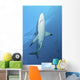 Oceanic Blacktip Shark Near Surface Wall Decal