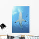 Oceanic Blacktip Shark Underneath Wall Decal