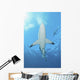 Oceanic Blacktip Shark Underneath Wall Decal
