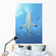 Oceanic Blacktip Shark Underneath Wall Decal