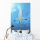 Oceanic Blacktip Shark Underneath Wall Decal