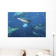 Oceanic Blacktip Sharks Fighting Wall Decal