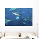Oceanic Blacktip Sharks Fighting Wall Decal