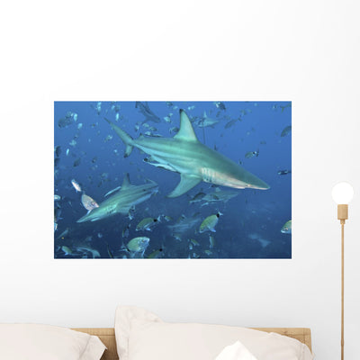 Oceanic Blacktip Sharks Cloud Wall Decal shown on a wall