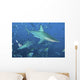 Oceanic Blacktip Sharks Cloud Wall Decal
