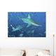 Oceanic Blacktip Sharks Cloud Wall Decal