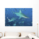 Oceanic Blacktip Sharks Cloud Wall Decal