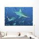 Oceanic Blacktip Sharks Cloud Wall Decal