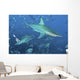 Oceanic Blacktip Sharks Cloud Wall Decal
