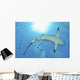 Sunrays Shining Oceanic Blacktip Wall Decal