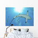 Sunrays Shining Oceanic Blacktip Wall Decal