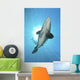Large Potato Cod with Wall Decal