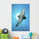 Large Potato Cod with Wall Decal
