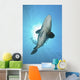 Large Potato Cod with Wall Decal