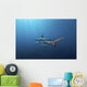 Oceanic Blacktip Shark Swimming Away Wall Decal