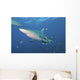 Oceanic Blacktip Shark Left Profile Wall Decal