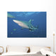 Oceanic Blacktip Shark Left Profile Wall Decal