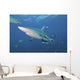 Oceanic Blacktip Shark Left Profile Wall Decal