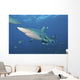 Oceanic Blacktip Shark Left Profile Wall Decal
