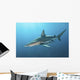 Oceanic Blacktip Shark Wall Decal