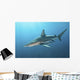 Oceanic Blacktip Shark Wall Decal