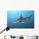 Oceanic Blacktip Shark Wall Decal