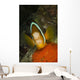 Clownfish Defending Its Clutch Wall Decal