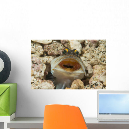 Gold-specs Jawfish Its Hole Horizontal Wall Decal