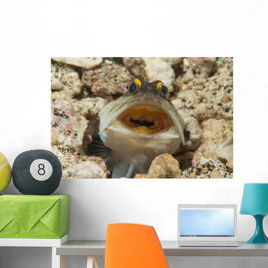 Gold-specs Jawfish Its Hole Horizontal Wall Decal