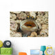 Gold-specs Jawfish Its Hole Horizontal Wall Decal