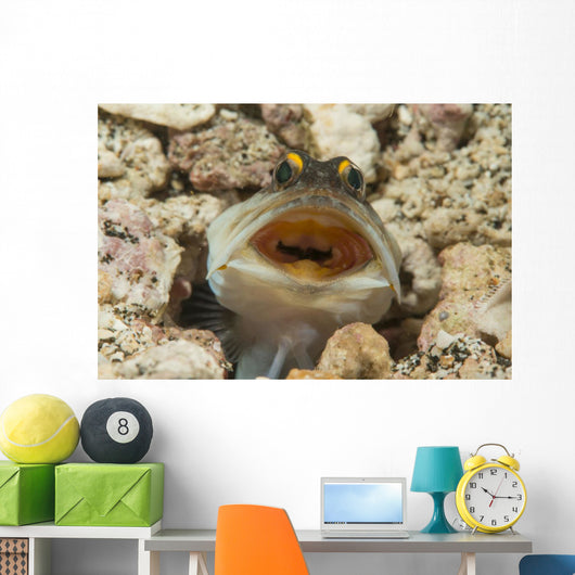 Gold-specs Jawfish Its Hole Horizontal Wall Decal
