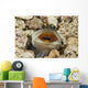 Gold-specs Jawfish Its Hole Horizontal Wall Decal
