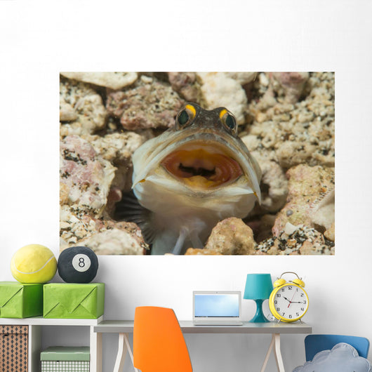 Gold-specs Jawfish Its Hole Horizontal Wall Decal