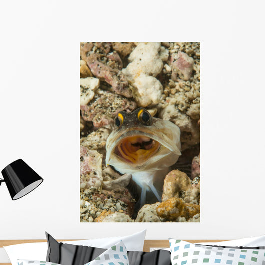 Gold-specs Jawfish Its Hole Wall Decal