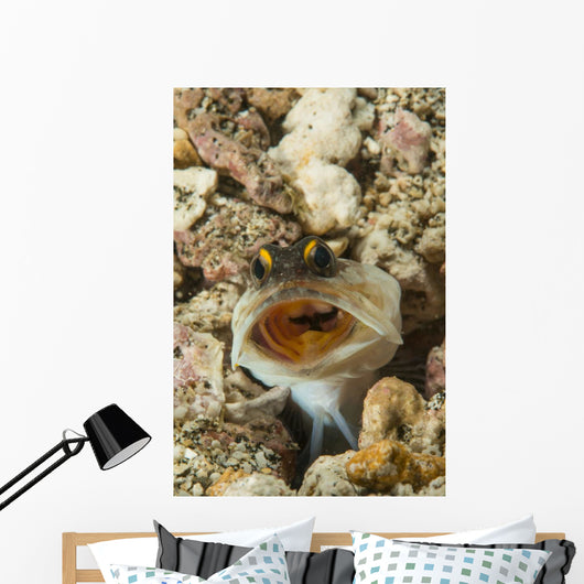 Gold-specs Jawfish Its Hole Wall Decal