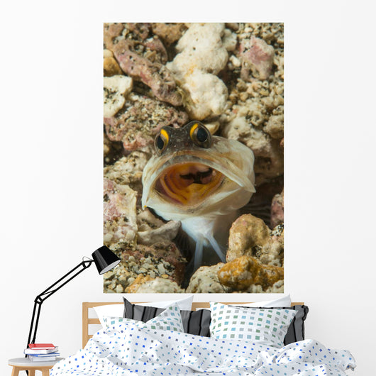Gold-specs Jawfish Its Hole Wall Decal