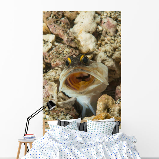 Gold-specs Jawfish Its Hole Wall Decal