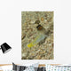 Gold-specs Jawfish with Mouth Wall Decal