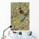 Gold-specs Jawfish with Mouth Wall Decal