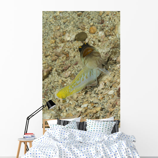Gold-specs Jawfish with Mouth Wall Decal