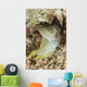 Gold-specs Jawfish Anilao Philippines Wall Decal