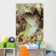 Gold-specs Jawfish Anilao Philippines Wall Decal