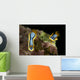 Pair Chromodoris Annae Nudibranch Wall Decal